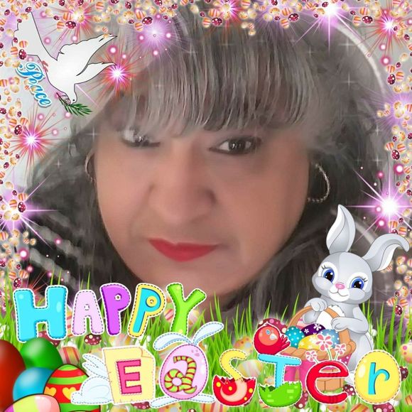 Meet your Posher, Elsa - Picture 1 of 1